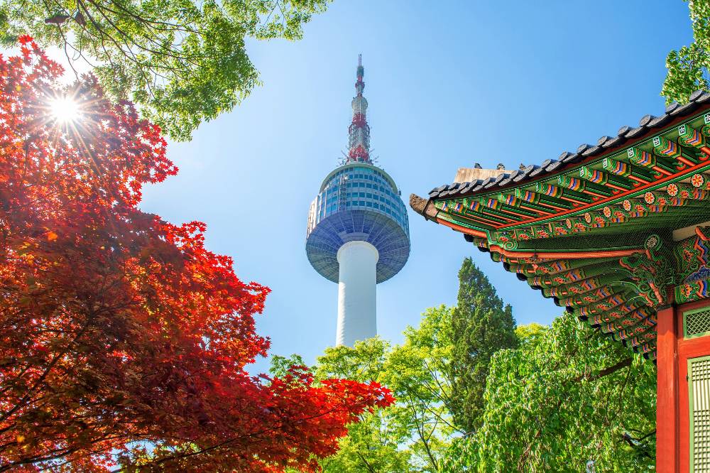 Why Study in South Korea? Top Benefits for International Students